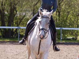 IMG_1784_web